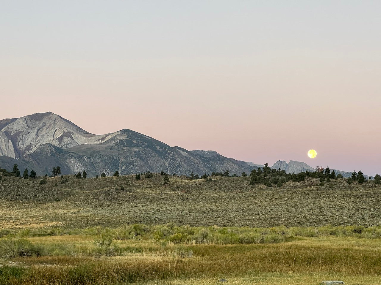 Enhancing Your Hiking Experience with the KOALA 2.0 Smartphone Harness